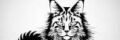 cropped download.jpeg